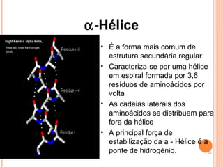  -Hélice É a forma mais comum de estrutura secundária regular Caracteriza-se por uma hélice em espiral formada por 3,6 resíduos de aminoácidos por volta As cadeias laterais dos aminoácidos se distribuem para fora da hélice A principal força de estabilização da a - Hélice é a ponte de hidrogênio. 