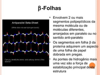  -Folhas  Envolvem 2 ou mais segmentos polipeptídicos da mesma molécula ou de moléculas diferentes, arranjados em paralelo ou no sentido anti-paralelo Os segmentos em folha    da proteína adquirem um aspecto de uma folha de papel dobrada em pregas. As pontes de hidrogênio mais uma vez são a força de estabilização principal desta estrutura 