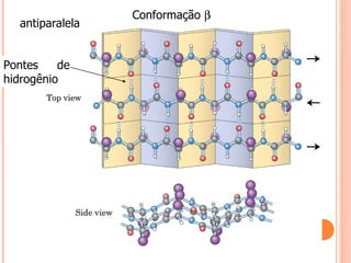 Conformação   Pontes de hidrogênio antiparalela 