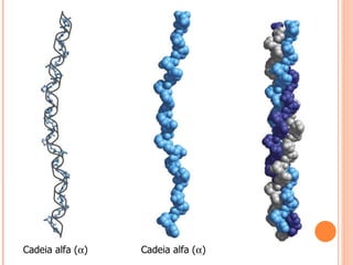 Cadeia alfa (  )‏ Cadeia alfa (  )‏ 