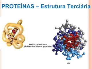 PROTEÍNAS – Estrutura Terciária 