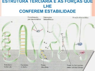ESTRUTURA TERCIÁRIA E AS FORÇAS QUE LHE CONFEREM ESTABILIDADE 