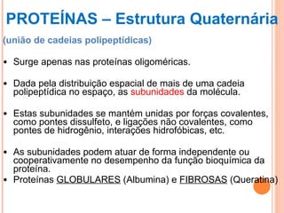 PROTEÍNAS – Estrutura Quaternária (união de cadeias polipeptídicas)‏ Surge apenas nas proteínas oligoméricas.  Dada pela distribuição espacial de mais de uma cadeia polipeptídica no espaço, as  subunidades  da molécula.  Estas subunidades se mantém unidas por forças covalentes, como pontes dissulfeto, e ligações não covalentes, como pontes de hidrogênio, interações hidrofóbicas, etc.  As subunidades podem atuar de forma independente ou cooperativamente no desempenho da função bioquímica da proteína.  Proteínas  GLOBULARES  (Albumina) e  FIBROSAS  (Queratina)‏ 