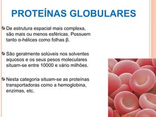 PROTEÍNAS GLOBULARES De estrutura espacial mais complexa, são mais ou menos esféricas. Possuem tanto α-hélices como folhas β. São geralmente solúveis nos solventes aquosos e os seus pesos moleculares situam-se entre 10000 e vário milhões. Nesta categoria situam-se as proteínas transportadoras como a hemoglobina, enzimas, etc. 