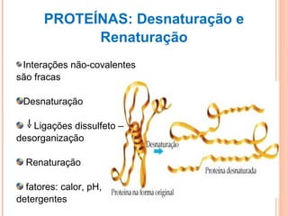 PROTEÍNAS: Desnaturação e Renaturação Interações não-covalentes são fracas Desnaturação Ligações dissulfeto – desorganização Renaturação fatores: calor, pH, detergentes 