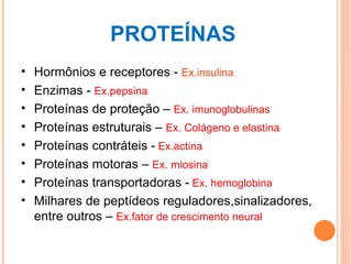 PROTEÍNAS  Hormônios e receptores -  Ex.insulina Enzimas -  Ex.pepsina Proteínas de proteção –  Ex. imunoglobulinas Proteínas estruturais –  Ex. Colágeno e elastina Proteínas contráteis -   Ex.actina Proteínas motoras –  Ex. miosina Proteínas transportadoras -  Ex. hemoglobina Milhares de peptídeos reguladores,sinalizadores, entre outros –  Ex.fator de crescimento neural 