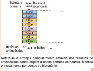 Estrutura primária Estrutura secundária Resíduos de aminoácidos  -hélice Refere-se a arranjos particularmente estáveis dos resíduos de aminoácidos dando origem a certos padrões estruturais. Mantida principalmente por pontes de hidrogênio. 