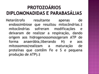 Heterótrofo    resultante   apenas     de
 endossimbiose que resultou mitocôndrias.‡
 mitocôndrias sofreram modificações e
 deixaram de realizar a respiração, dando
 origem aos hidrogenossomos(geram ATP de
 forma anaeróbia,liberando H) e aos
 mitossomos(realizam    a  maturação   de
 proteínas que contêm Fe e S e pequena
 produção de ATP).‡
 