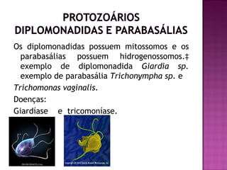 Os diplomonadidas possuem mitossomos e os
  parabasálias possuem hidrogenossomos.‡
  exemplo de diplomonadida Giardia sp.
  exemplo de parabasália Trichonympha sp. e
Trichomonas vaginalis.
Doenças:
Giardíase e tricomoníase.
 