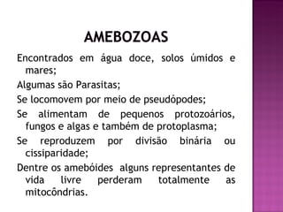 Encontrados em água doce, solos úmidos e
  mares;
Algumas são Parasitas;
Se locomovem por meio de pseudópodes;
Se alimentam de pequenos protozoários,
  fungos e algas e também de protoplasma;
Se reproduzem por divisão binária ou
  cissiparidade;
Dentre os amebóides alguns representantes de
  vida    livre   perderam   totalmente   as
  mitocôndrias.
 