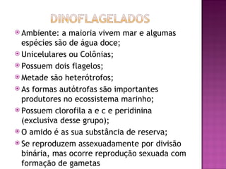  Ambiente:  a maioria vivem mar e algumas
  espécies são de água doce;
 Unicelulares ou Colônias;
 Possuem dois flagelos;
 Metade são heterótrofos;
 As formas autótrofas são importantes
  produtores no ecossistema marinho;
 Possuem clorofila a e c e peridinina
  (exclusiva desse grupo);
 O amido é as sua substância de reserva;
 Se reproduzem assexuadamente por divisão
  binária, mas ocorre reprodução sexuada com
  formação de gametas
 