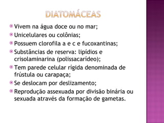  Vivem  na água doce ou no mar;
 Unicelulares ou colônias;
 Possuem clorofila a e c e fucoxantinas;
 Substâncias de reserva: lipídios e
  crisolaminarina (polissacarídeo);
 Tem parede celular rígida denominada de
  frústula ou carapaça;
 Se deslocam por deslizamento;
 Reprodução assexuada por divisão binária ou
  sexuada através da formação de gametas.
 