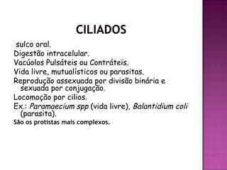 sulco oral.
Digestão intracelular.
Vacúolos Pulsáteis ou Contráteis.
Vida livre, mutualísticos ou parasitas.
Reprodução assexuada por divisão binária e
  sexuada por conjugação.
Locomoção por cilios.
Ex.: Paramaecium spp (vida livre), Balantidium coli
  (parasita).
São os protistas mais complexos.
 
