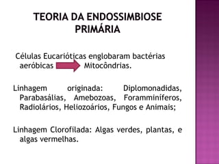 Células Eucarióticas englobaram bactérias
 aeróbicas         Mitocôndrias.

Linhagem        originada:      Diplomonadidas,
  Parabasálias, Amebozoas, Foramminíferos,
  Radiolários, Heliozoários, Fungos e Animais;

Linhagem Clorofilada: Algas verdes, plantas, e
  algas vermelhas.
 