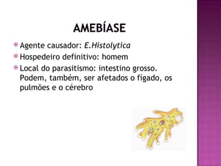  Agente causador: E.Histolytica
 Hospedeiro definitivo: homem
 Local do parasitismo: intestino grosso.
  Podem, também, ser afetados o fígado, os
  pulmões e o cérebro
 