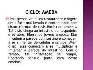  Uma  pessoa vai a um restaurante e ingere
 um alface mal-lavado e contaminado com
 cistos (formas de resistência) de amebas.
 Tal cisto chega ao intestino do hospedeiro
 e se abre, liberando jovens amebas. Elas
 invadem a parede do intestino e começam
 a se alimentar de células e sangue. Além
 disso, elas começam a se multiplicar e
 inflamar a parede do intestino. Com o
 tempo, tal inflamação se rompe,
 liberando sangue junto com novas
 amebas.
 