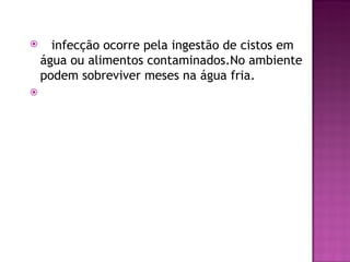 A infecção ocorre pela ingestão de cistos em
 água ou alimentos contaminados.No ambiente
 podem sobreviver meses na água fria. 
 
 