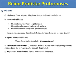 2) Malária
a) Sinônimo: Febre palustre, febre intermitente, maleita e impaludismo.
b) Agentes Etiológicos
• Plasmodium vivax (Febre terçã benigna)
• Plasmodium falciparum (Febre terçã-maligna)
• Plasmodium malarieae (Febre quartã-benigna)
Parasita heteroxeno ou digenético (infecta dois hospedeiros em seu ciclo de vida)
c) Agente vetor (transmissor)
• Fêmea do mosquito: Anopheles (Mosquito Prego)
d) Hospedeiros vertebrados: O homem e diversos outros mamíferos (principalmente
macacos) que são os reservatórios naturais do parasita).
e) Hospedeiros invertebrados: Fêmea do mosquito Anopheles.
Reino Protista: Protozooses
 