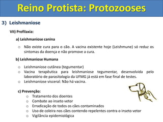 3) Leishmaniose
VII) Profilaxia:
a) Leishmaniose canina
o Não existe cura para o cão. A vacina existente hoje (Leishmune) só reduz os
sintomas da doença e não promove a cura.
b) Leishmaniose Humana
o Leishmaniose cutânea (tegumentar)
o Vacina terapêutica para leishmaniose tegumentar, desenvolvida pelo
laboratório de parasitologia da UFMG já está em fase final de testes.
o Leishmaniose visceral: Não há vacina.
c) Prevenção:
o Tratamento dos doentes
o Combate ao inseto vetor
o Erradicação de todos os cães contaminados
o Uso de coleira nos cães contendo repelentes contra o inseto vetor
o Vigilância epidemiológica
Reino Protista: Protozooses
 
