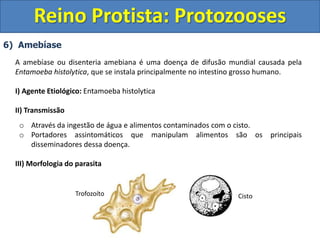 6) Amebíase
A amebíase ou disenteria amebiana é uma doença de difusão mundial causada pela
Entamoeba histolytica, que se instala principalmente no intestino grosso humano.
I) Agente Etiológico: Entamoeba histolytica
II) Transmissão
o Através da ingestão de água e alimentos contaminados com o cisto.
o Portadores assintomáticos que manipulam alimentos são os principais
disseminadores dessa doença.
III) Morfologia do parasita
Reino Protista: Protozooses
Trofozoíto Cisto
 