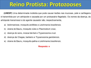 Reino Protista: Protozooses
Resposta: e
 