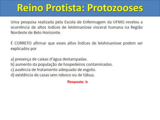 Reino Protista: Protozooses
Resposta: b
 