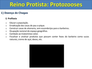 1) Doença de Chagas
i) Profilaxia
o Educar a população.
o Erradicação das casas de pau-a-pique.
o Construir casas de alvenaria, sem esconderijos para o barbeiros.
o Ocupação racional do espaço geográfico.
o Combate ao triatomíneo vetor.
o Fiscalizar e analisar produtos que possam conter fezes do barbeiro como sucos
naturais, creme de açaí, doces, etc.
Reino Protista: Protozooses
 