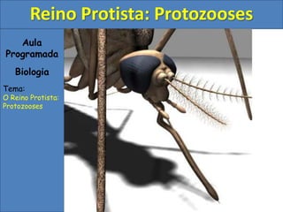 Aula
Programada
Biologia
Tema:
O Reino Protista:
Protozooses
Reino Protista: Protozooses
 