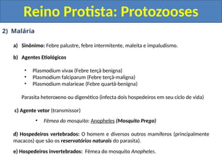 2) Malária
a) Sinônimo: Febre palustre, febre intermitente, maleita e impaludismo.
b) Agentes Etiológicos
• Plasmodium vivax (Febre terçã benigna)
• Plasmodium falciparum (Febre terçã-maligna)
• Plasmodium malarieae (Febre quartã-benigna)
Parasita heteroxeno ou digenético (infecta dois hospedeiros em seu ciclo de vida)
c) Agente vetor (transmissor)
• Fêmea do mosquito: Anopheles (Mosquito Prego)
d) Hospedeiros vertebrados: O homem e diversos outros mamíferos (principalmente
macacos) que são os reservatórios naturais do parasita).
e) Hospedeiros invertebrados: Fêmea do mosquito Anopheles.
Reino Protista: Protozooses
 