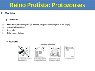2) Malária
g) Sintomas
o Hepatoesplenomegalia (aumento exagerado do fígado e do baço).
o Anemia hemolítica
o Icterícia
o Febres periódicas
h) Profilaxia
Reino Protista: Protozooses
 