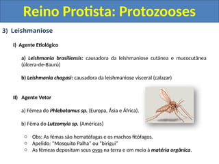 3) Leishmaniose
I) Agente Etiológico
a) Leishmania brasiliensis: causadora da leishmaniose cutânea e mucocutânea
(úlcera-de-Baurú)
b) Leishmania chagasi: causadora da leishmaniose visceral (calazar)
II) Agente Vetor
a) Fêmea do Phlebotomus sp. (Europa, Ásia e África).
b) Fêma do Lutzomyia sp. (Américas)
o Obs: As fêmas são hematófagas e os machos fitófagos.
o Apelido: “Mosquito Palha” ou “birigui”
o As fêmeas depositam seus ovos na terra e em meio à matéria orgânica.
Reino Protista: Protozooses
 