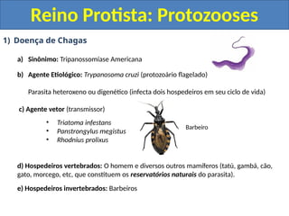 1) Doença de Chagas
a) Sinônimo: Tripanossomíase Americana
b) Agente Etiológico: Trypanosoma cruzi (protozoário flagelado)
Parasita heteroxeno ou digenético (infecta dois hospedeiros em seu ciclo de vida)
c) Agente vetor (transmissor)
• Triatoma infestans
• Panstrongylus megistus
• Rhodnius prolixus
d) Hospedeiros vertebrados: O homem e diversos outros mamíferos (tatú, gambá, cão,
gato, morcego, etc, que constituem os reservatórios naturais do parasita).
e) Hospedeiros invertebrados: Barbeiros
Reino Protista: Protozooses
Barbeiro
 