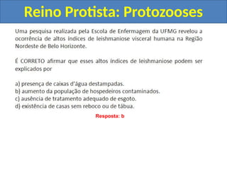 Reino Protista: Protozooses
Resposta: b
 