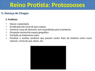 1) Doença de Chagas
i) Profilaxia
o Educar a população.
o Erradicação das casas de pau-a-pique.
o Construir casas de alvenaria, sem esconderijos para o barbeiros.
o Ocupação racional do espaço geográfico.
o Combate ao triatomíneo vetor.
o Fiscalizar e analisar produtos que possam conter fezes do barbeiro como sucos
naturais, creme de açaí, doces, etc.
Reino Protista: Protozooses
 