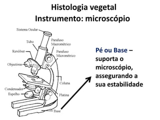 Histologia vegetal
Instrumento: microscópio

Pé ou Base –
suporta o
microscópio,
assegurando a
sua estabilidade

 
