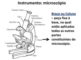 Instrumento: microscópio
Braço ou Coluna
– peça fixa à
base, na qual
estão aplicadas
todas as outras
partes
constituintes do
microscópio.

 