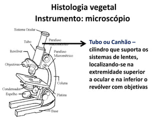 Histologia vegetal
Instrumento: microscópio
Tubo ou Canhão –
cilindro que suporta os
sistemas de lentes,
localizando-se na
extremidade superior
a ocular e na inferior o
revólver com objetivas

 
