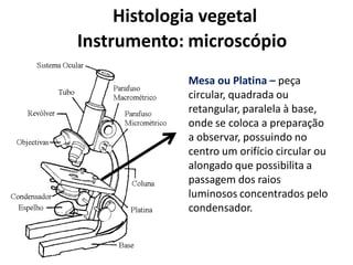 Histologia vegetal
Instrumento: microscópio
Mesa ou Platina – peça
circular, quadrada ou
retangular, paralela à base,
onde se coloca a preparação
a observar, possuindo no
centro um orifício circular ou
alongado que possibilita a
passagem dos raios
luminosos concentrados pelo
condensador.

 