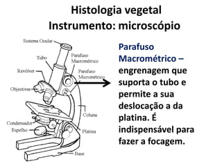 Histologia vegetal
Instrumento: microscópio
Parafuso
Macrométrico –
engrenagem que
suporta o tubo e
permite a sua
deslocação a da
platina. É
indispensável para
fazer a focagem.

 
