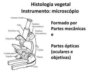 Histologia vegetal
Instrumento: microscópio
Formado por
Partes mecânicas
e

Partes ópticas
(oculares e
objetivas)

 