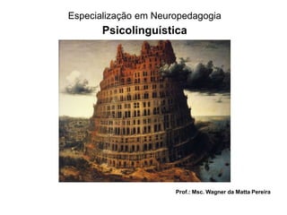 Especialização em Neuropedagogia

Psicolinguística

Prof.: Msc. Wagner da Matta Pereira

 