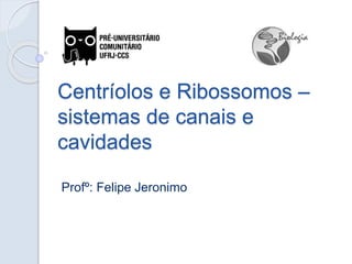 Centríolos e Ribossomos –
sistemas de canais e
cavidades
Profº: Felipe Jeronimo
 