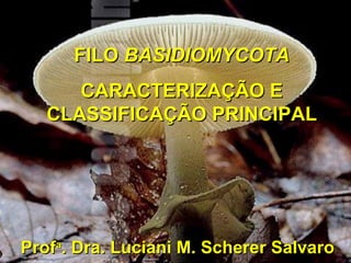 FILO  BASIDIOMYCOTA CARACTERIZAÇÃO E CLASSIFICAÇÃO PRINCIPAL Prof a . Dra. Luciani M. Scherer Salvaro 
