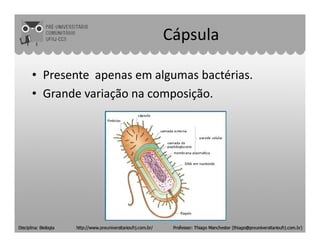 • Presente apenas em algumas bactérias.
• Grande variação na composição.
Cápsula
 