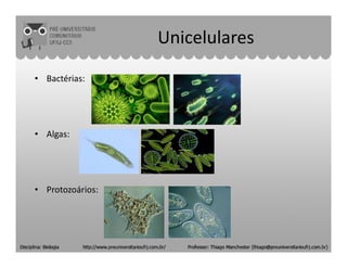 Unicelulares
• Bactérias:
• Algas:• Algas:
• Protozoários:
 