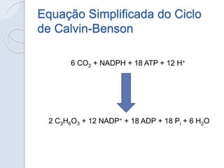 Equação Simplificada do Ciclo
de Calvin-Benson
6 CO2 + NADPH + 18 ATP + 12 H+
2 C3H6O3 + 12 NADP+ + 18 ADP + 18 Pi + 6 H2O
 