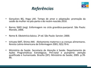 Aula puerpério _Isilia pdf.pdf