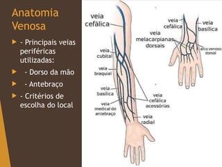 Anatomia
Venosa
 - Principais veias
periféricas
utilizadas:
 - Dorso da mão
 - Antebraço
 - Critérios de
escolha do local
 
