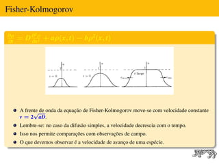 Fisher-Kolmogorov

∂ρ         2

∂t
     = D ∂ ρ + aρ(x, t) − bρ2 (x, t)
         ∂x2




     A frente de onda da equação de Fisher-Kolmogorov move-se com velocidade constante
           √
     v = 2 aD.
     Lembre-se: no caso da difusão simples, a velocidade decrescia com o tempo.
     Isso nos permite comparações com observações de campo.
     O que devemos observar é a velocidade de avanço de uma espécie.
 