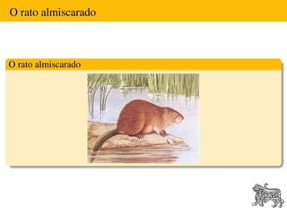 O rato almiscarado



O rato almiscarado
 